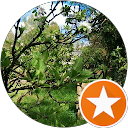 Raquel Varela profile picture